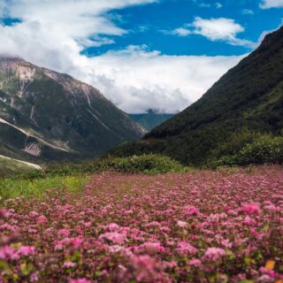 Top Destinations for 2027