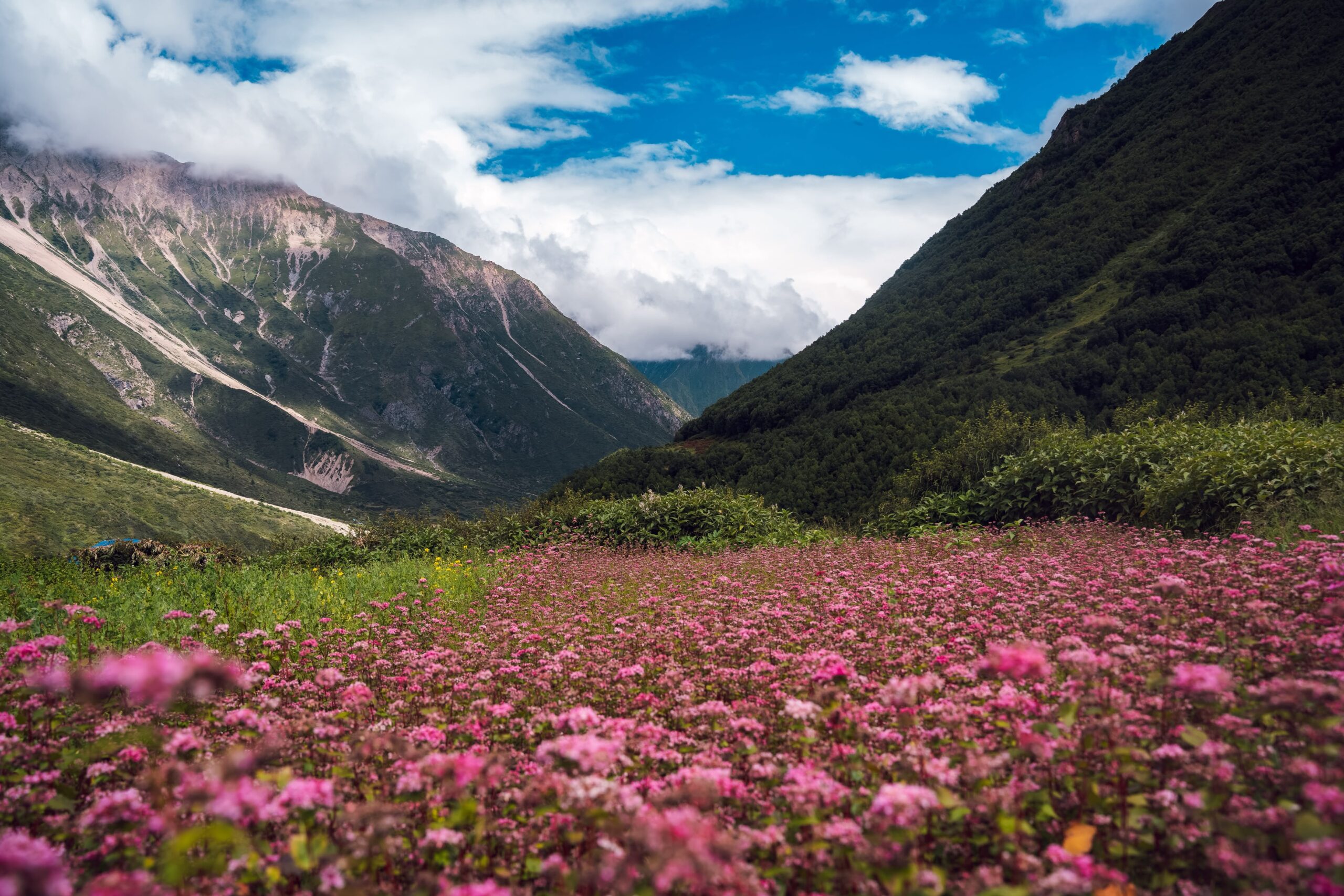 Top Destinations for 2027